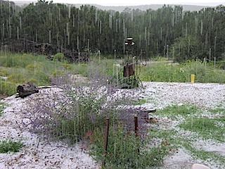 P8150013